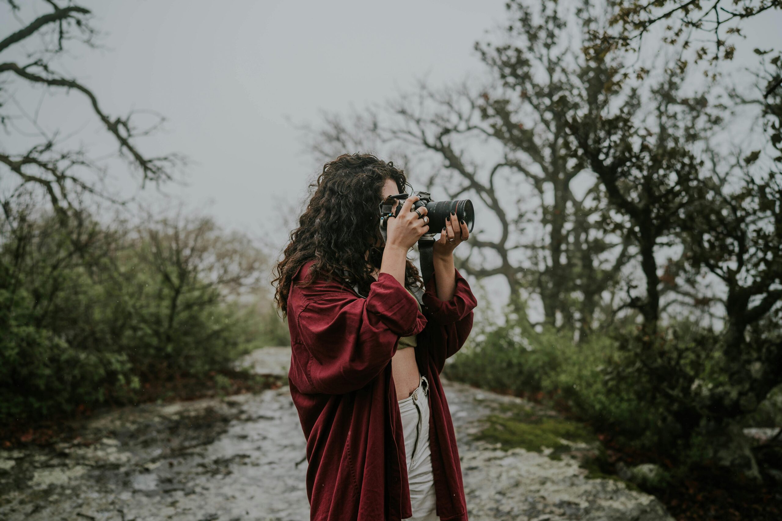 Kostenloses Stock Foto zu abenteuer, Äste, aufnehmen von fotos