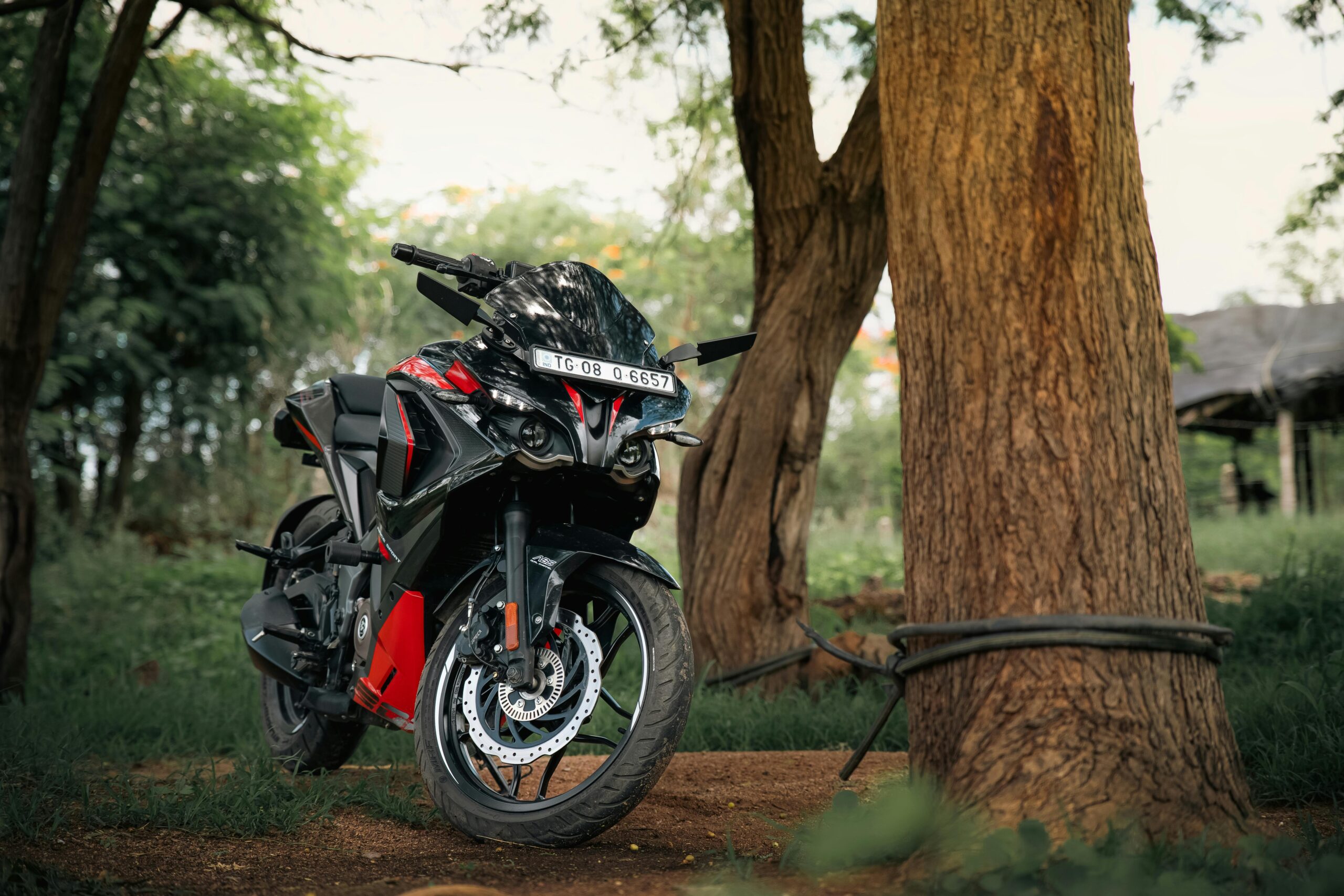 Stilvolles Motorrad, das in einer friedlichen Waldlandschaft geparkt ist und Abenteuer verkörpert.
