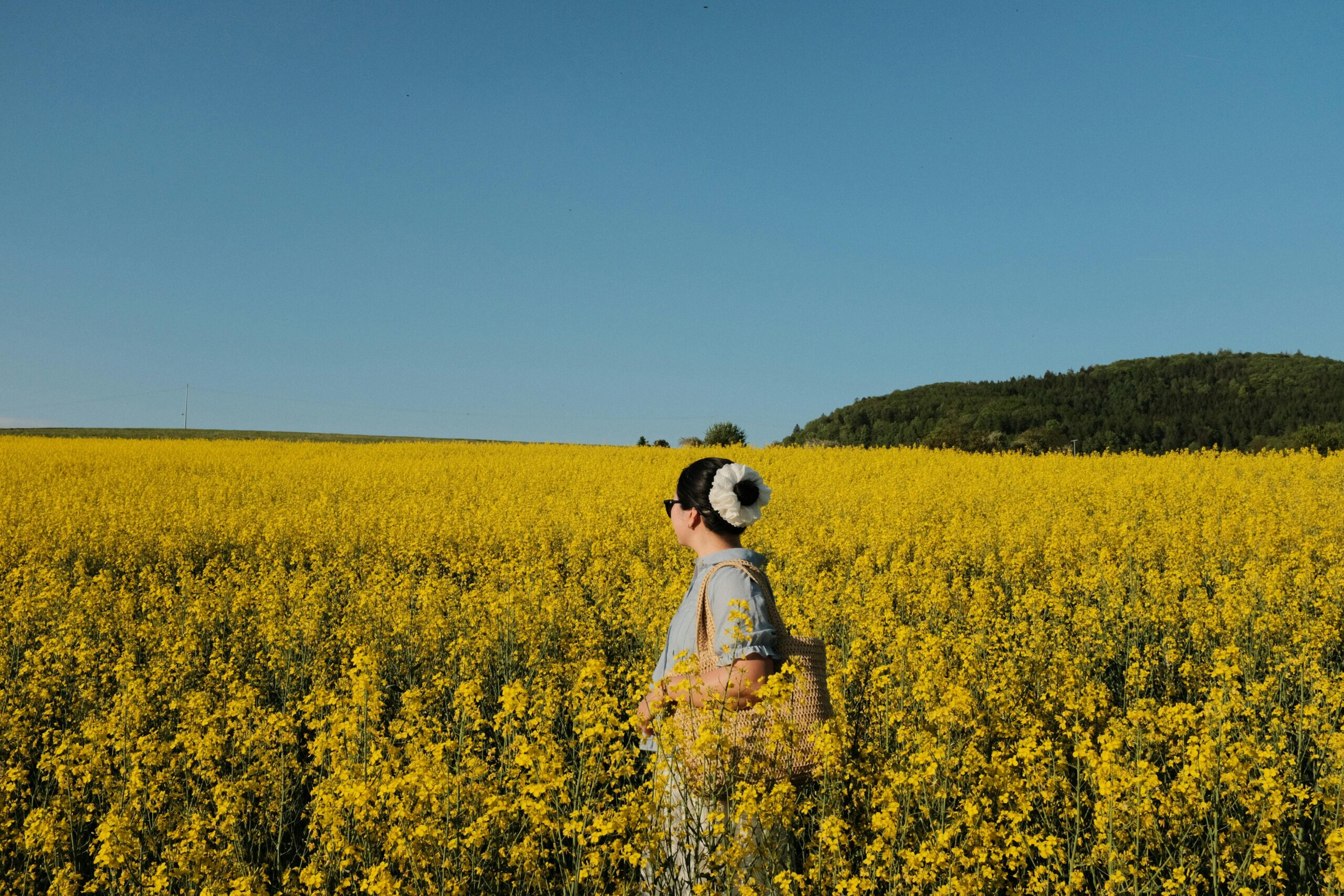 Kostenloses Stock Foto zu abenteuer, ackerland, allein