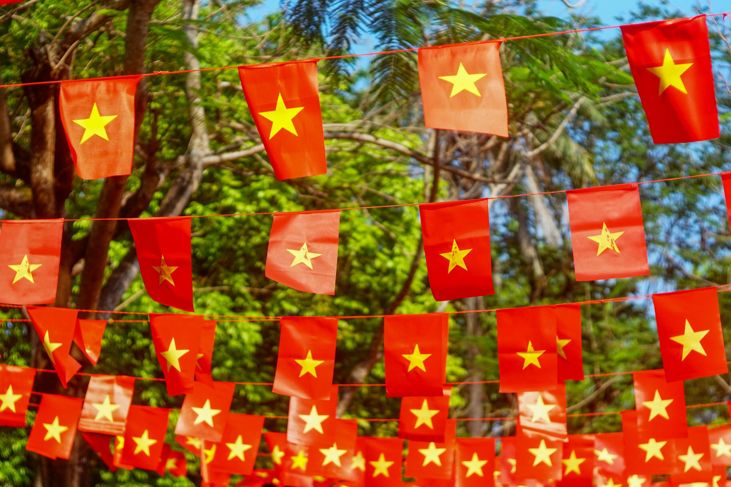 Bunte Reihen vietnamesischer Flaggen wehen im Wind neben üppigen grünen Bäumen und symbolisieren Nationalstolz.