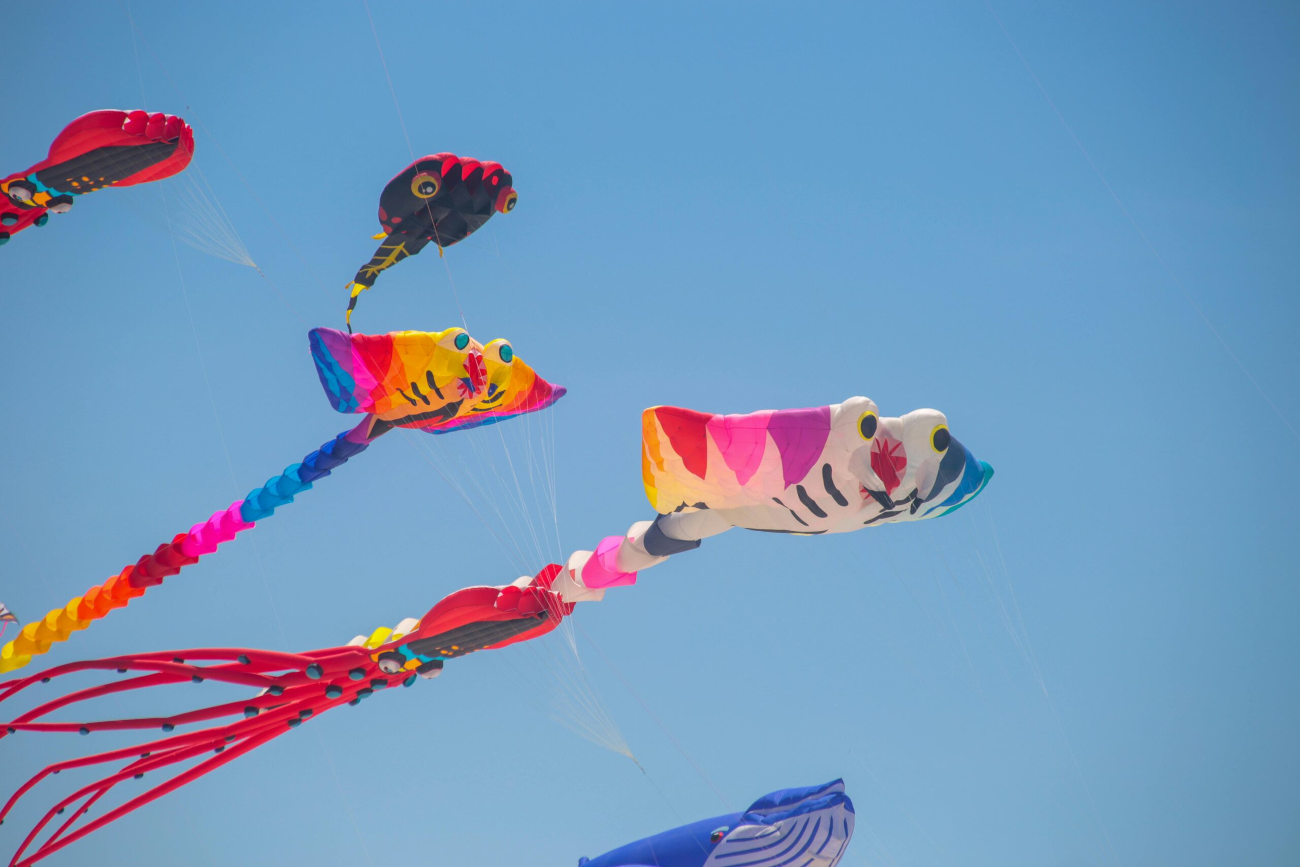 Lebendige Drachen in Tierform fliegen hoch vor einem klaren blauen Himmel und fangen die Essenz von Spaß und Kreativität im Freien ein.