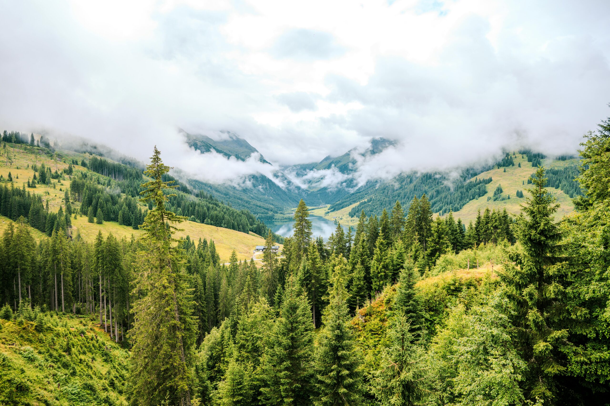 Kostenloses Stock Foto zu 4k natur, 4k natürlich, 4k naturvideo