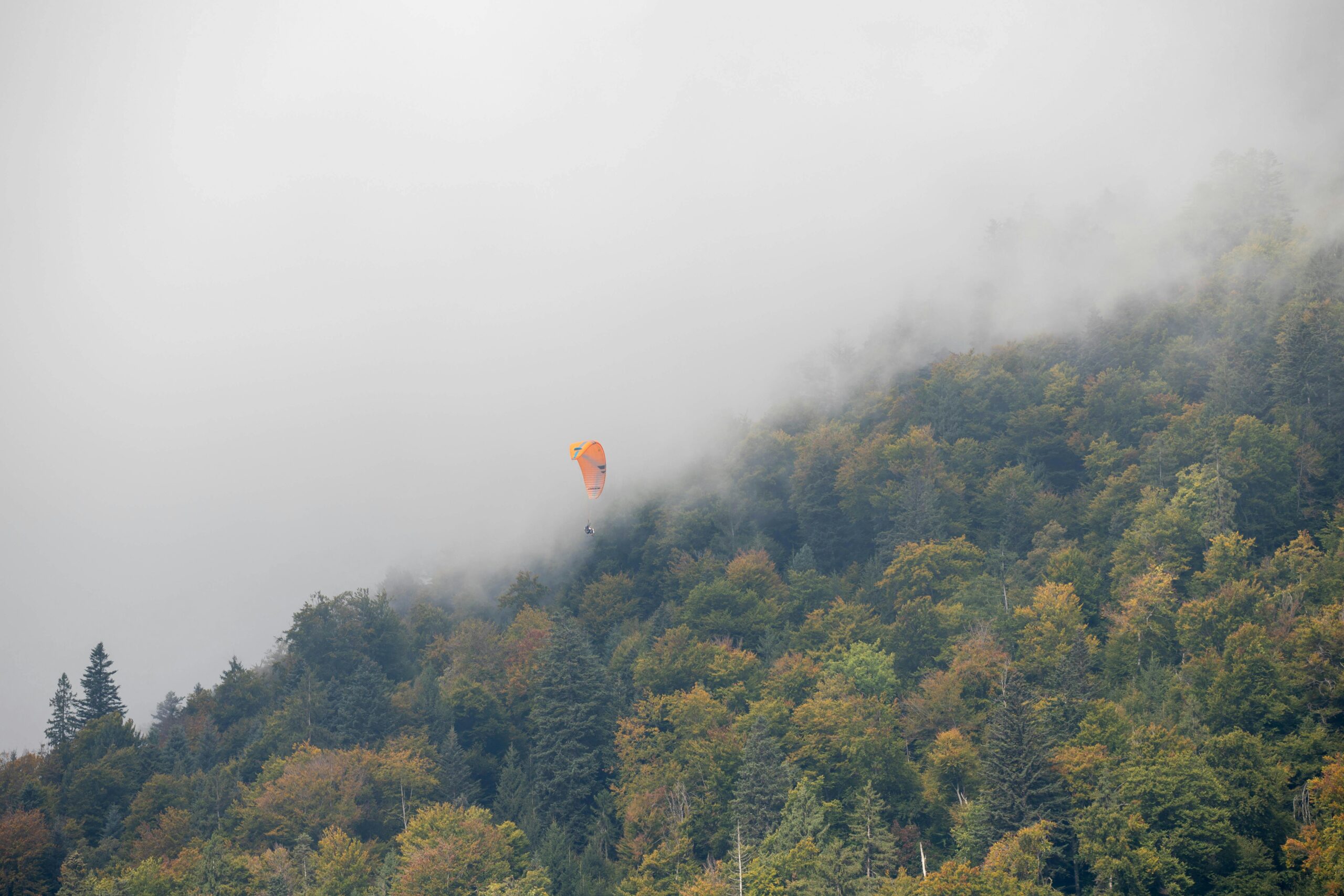 Ein farbenfroher Gleitschirm schwebt über einem nebelbedeckten Wald in Interlaken, Schweiz.