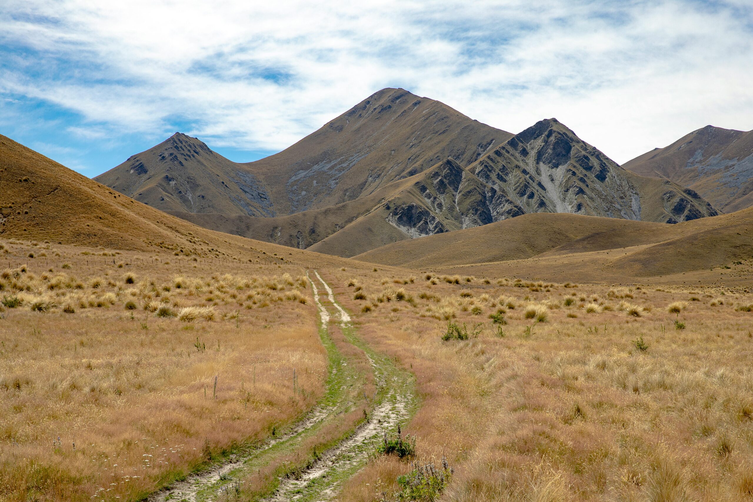 Erkunden Sie die raue Schönheit des Lindis Pass in Neuseeland auf einem Feldweg, der zu majestätischen Bergen führt.
