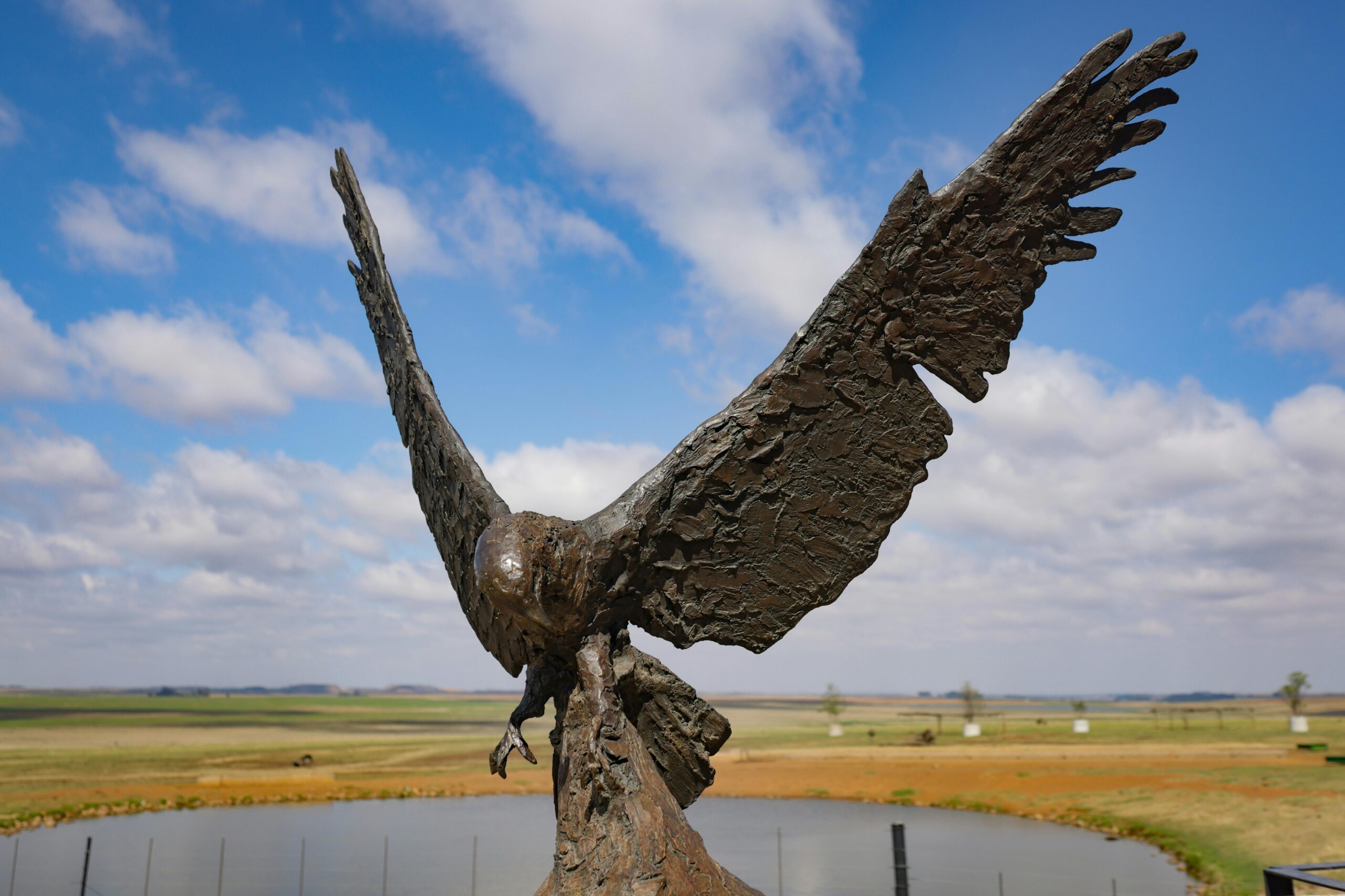 Majestätische Adlerstatue In Malerischer Landschaft
