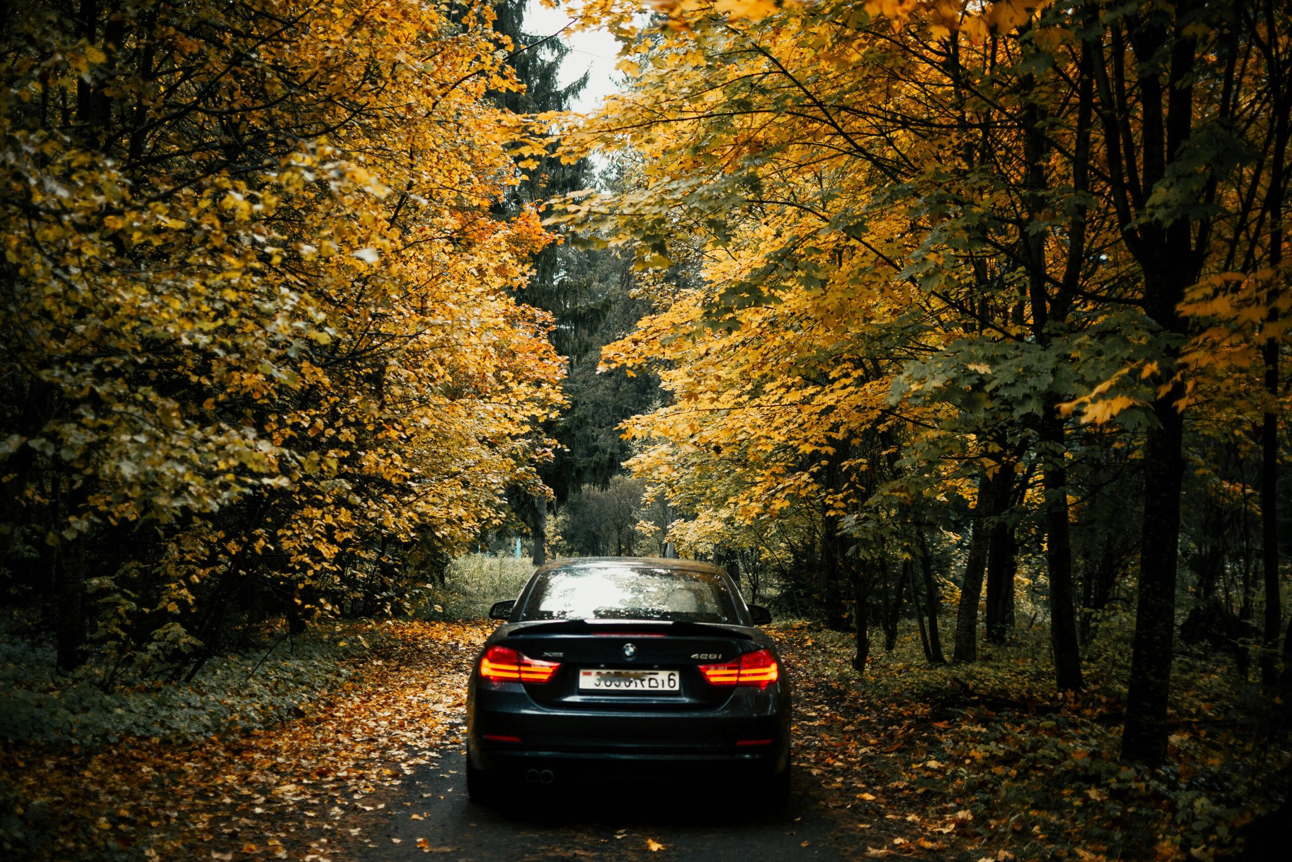 Ein schwarzes Auto fährt durch eine malerische Waldstraße, umgeben von leuchtendem Herbstlaub.