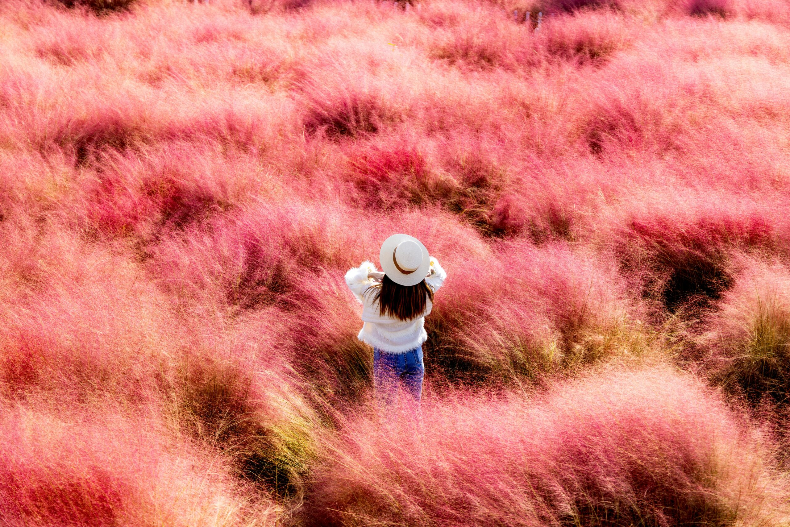 Eine Frau mit weißem Hut geht durch leuchtend rosa Gras in einer malerischen Umgebung im Freien.