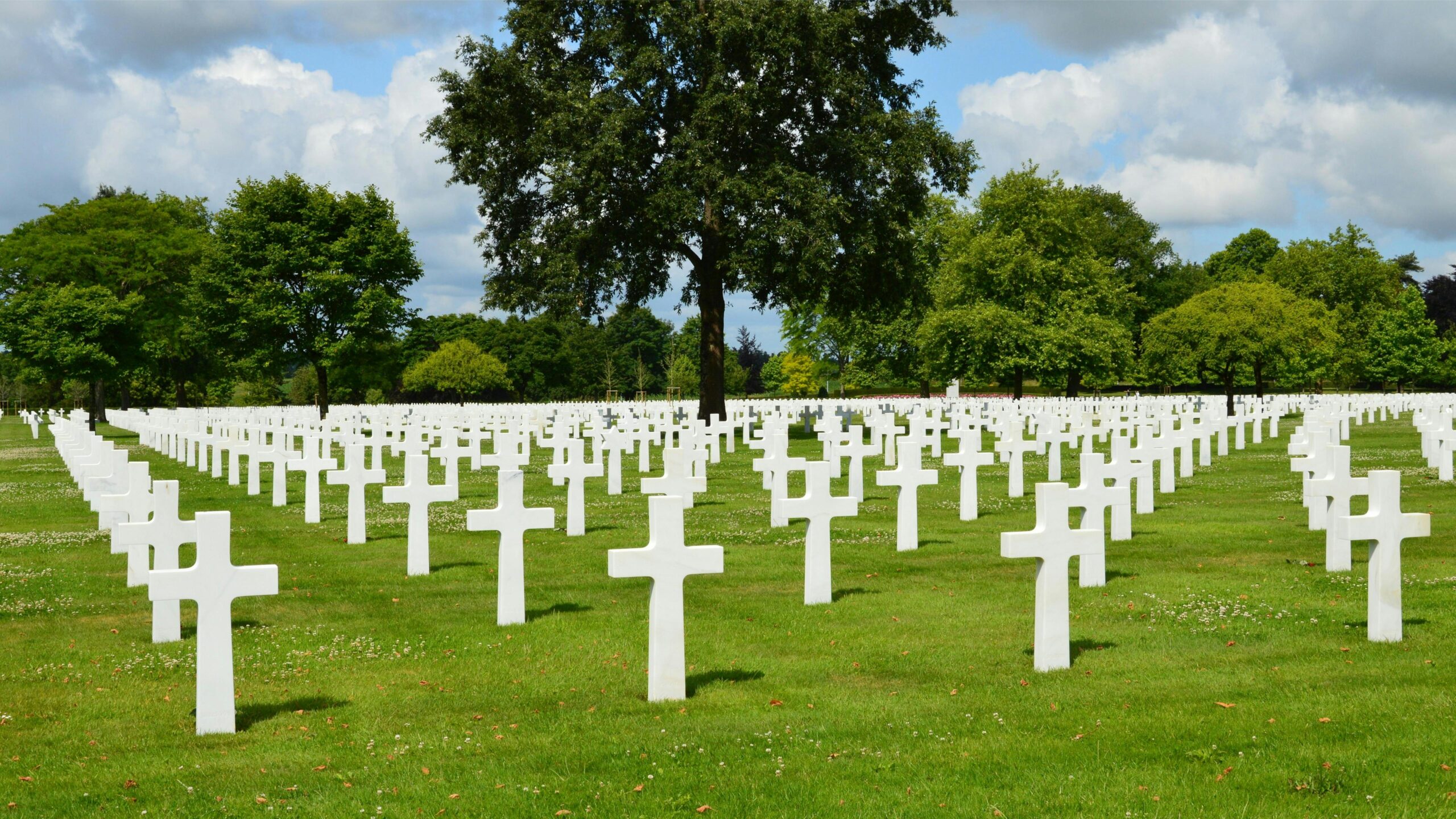 Kostenloses Stock Foto zu bäume, denkmal, draußen